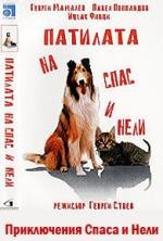 Приключения Спаса и Нели