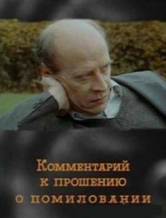 Комментарий к прошению о помиловании