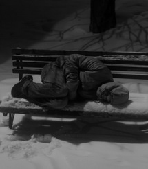 Выборг родил «Сына»